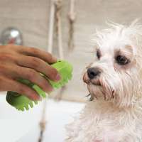 A bath and massage brush popular with dogs and cats